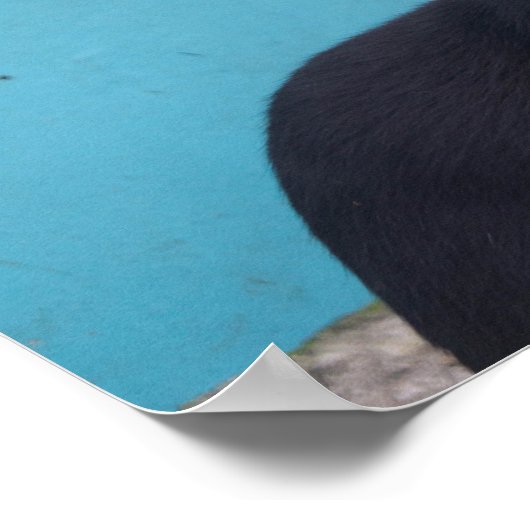 驚いた黒猫 ポスター (角)