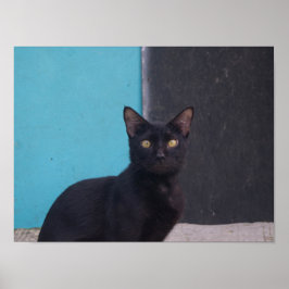 驚いた黒猫 ポスター