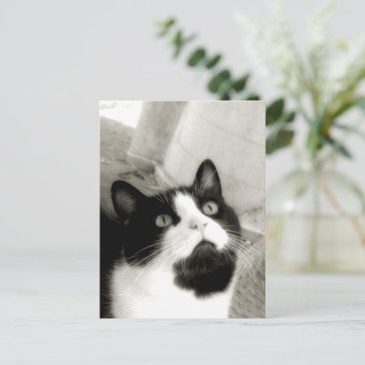 驚いた ポストカード (スタンド正面)