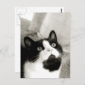 驚いた ポストカード (正面/裏面)