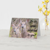 驚いた？我々は！***40*** カード (黄色い花)