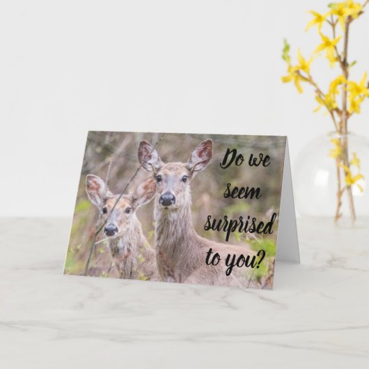 驚いた？我々は！***40*** カード (黄色い花)