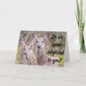 驚いた?我々は!***40*** カード (正面)