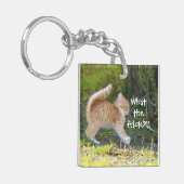 驚おもしろいいたジンジャー子猫。フリックって何だ? キーホルダー (正面左)