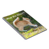 驚おもしろいいたジンジャー子猫。フリックって何だ? ノートブック (右側)