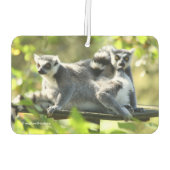 驚おもしろいいたマダガスカルのレムルス カーエアーフレッシュナー (裏面)