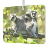 驚おもしろいいたマダガスカルのレムルス カーエアーフレッシュナー (左)