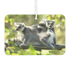 驚おもしろいいたマダガスカルのレムルス カーエアーフレッシュナー