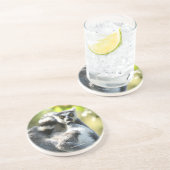 驚おもしろいいたマダガスカルのレムルス コースター (側面)