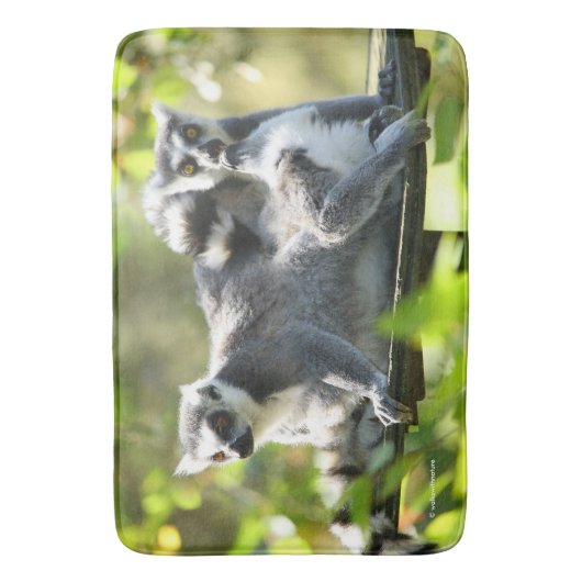 驚おもしろいいたマダガスカルのレムルス バスマット (正面縦)