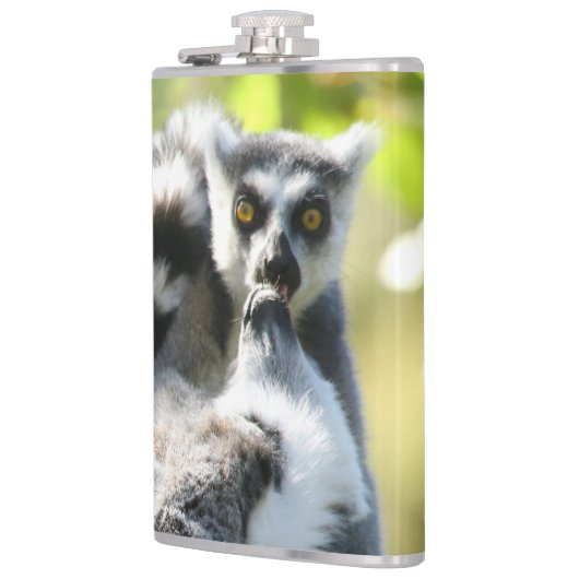驚おもしろいいたマダガスカルのレムルス フラスク (左)