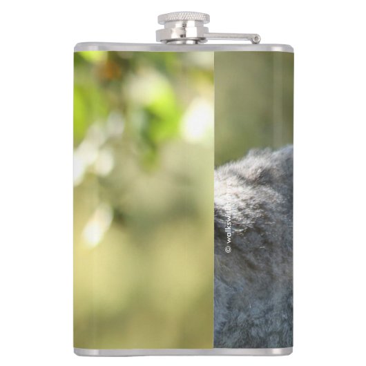 驚おもしろいいたマダガスカルのレムルス フラスク (裏面)