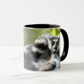 驚おもしろいいたマダガスカルのレムルス マグカップ (正面右)