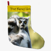 驚おもしろいいたマダガスカルのレムルス ラージクリスマスストッキング (正面)