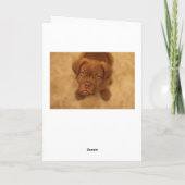 驚おもしろいいた犬の誕生日フランスのカード カード (裏面)