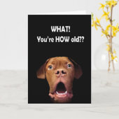 驚おもしろいいた犬の誕生日フランスのカード カード (黄色い花)