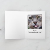 驚かされた猫、それはあなたの誕生日ですか。 カード (内部)
