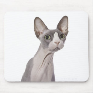 驚かされた表現のSphynx猫 マウスパッド