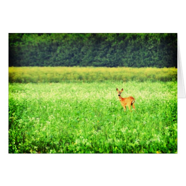 驚かされる (正面横)