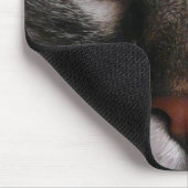 "驚かせる青い目"の子猫のマウスパッド マウスパッド (コーナー)