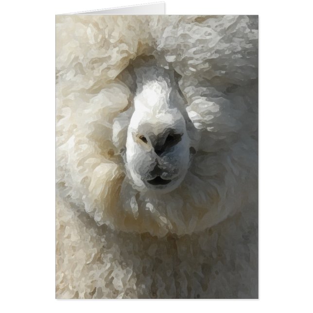 驚かせるGandalfアルパカ (正面)