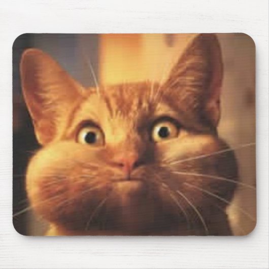 驚きの猫マウスパッド マウスパッド (正面)