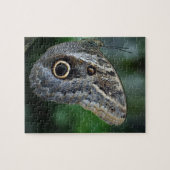 驚くべきカリゴエウリロクサス蝶 ジグソーパズル (横)