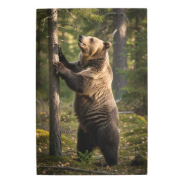 驚くべきクマ写真 メタルプリント