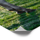 驚くべきグレーズ ポスター (角)