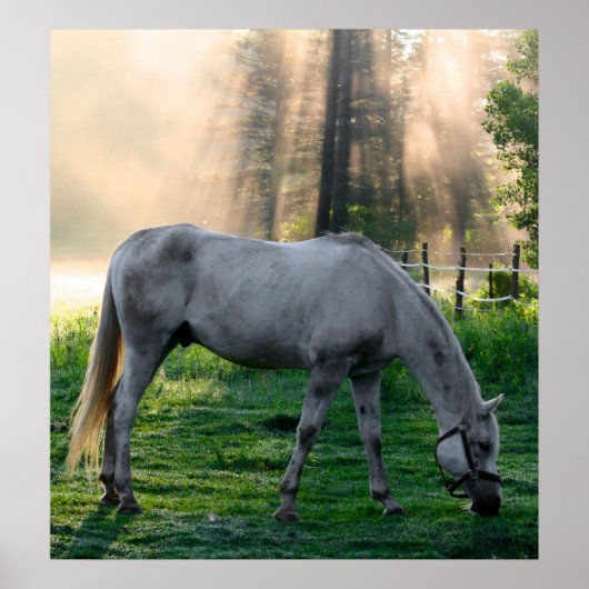 驚くべきグレーズ ポスター (正面)