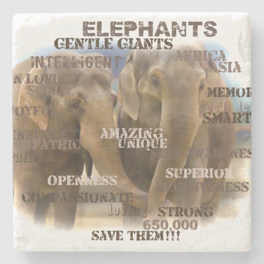 驚くべきゾウ大理石コースター ストーンコースター (正面)