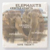 驚くべきゾウ大理石コースター ストーンコースター (正面)