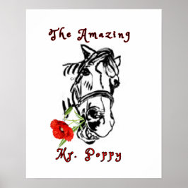 驚くべきミスターポピー ポスター