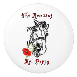 驚くべきミスターPOPPYセラミックプル セラミックノブ