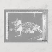 驚くべき友情 – Cat MinnieとMike Mouse ポストカード (裏面)