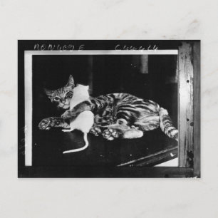 驚くべき友情 – Cat MinnieとMike Mouse ポストカード
