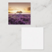 驚くべき夜明けの日独身のの出の木と紫のヒース コーリングカード (正面/裏面)