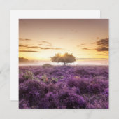 驚くべき夜明けの日独身のの出の木と紫のヒース シーズンカード (正面/裏面)