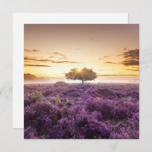 驚くべき夜明けの日独身のの出の木と紫のヒース シーズンカード (正面/裏面)