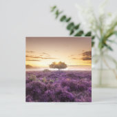 驚くべき夜明けの日独身のの出の木と紫のヒース シーズンカード (スタンド正面)