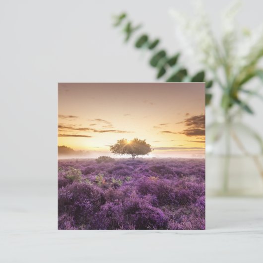 驚くべき夜明けの日独身のの出の木と紫のヒース シーズンカード (スタンド正面)