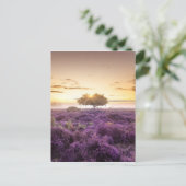 驚くべき夜明けの日独身のの出の木と紫のヒース ポストカード (スタンド正面)