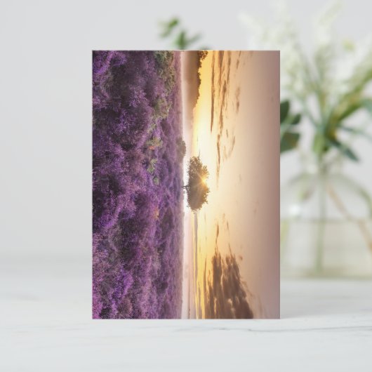 驚くべき夜明けの日独身のの出の木と紫のヒース 出欠カード (スタンド正面)