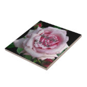 驚くべき恵み – タイル (側面)