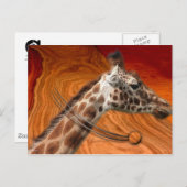 驚くべき生き物 ポストカード (正面/裏面)