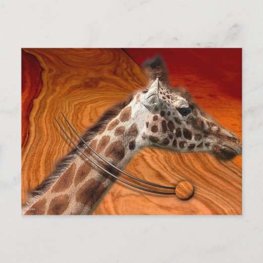 驚くべき生き物 ポストカード (正面)