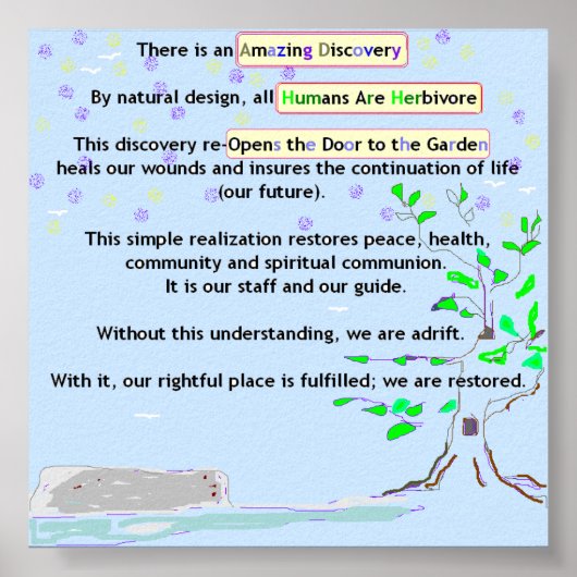 驚くべき発見のポスター ポスター (正面)