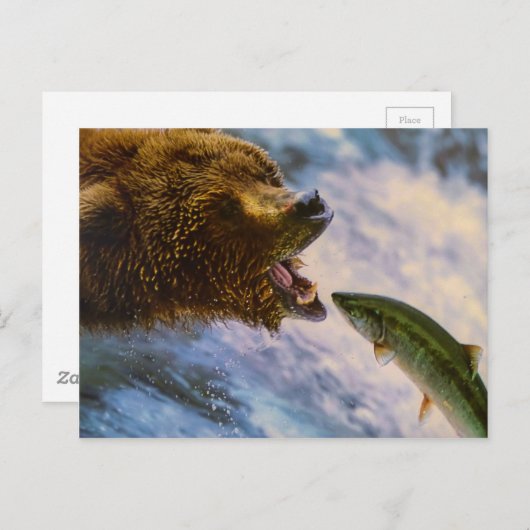 驚くべき白熊サーモンのイメージ ポストカード (正面/裏面)