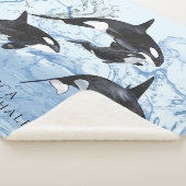 驚くべき白黒の水色のOrcas シェルパブランケット (3/4)