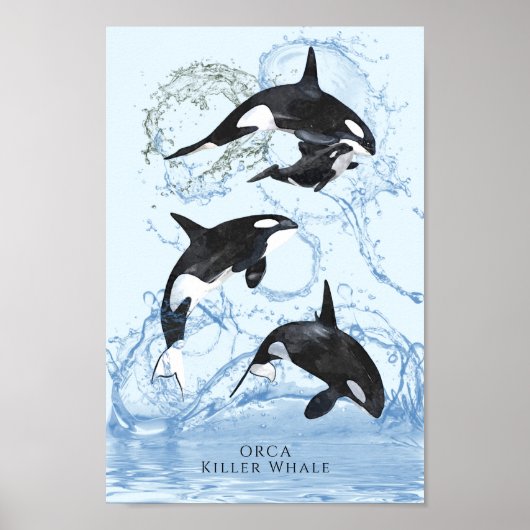 驚くべき白黒の水色のOrcas ポスター (正面)